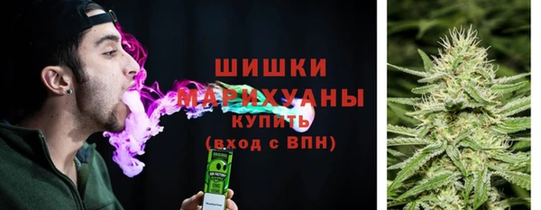 сатива Балахна