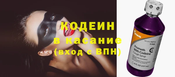 сатива Балахна