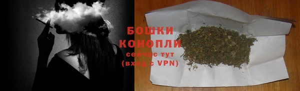 шишки Аркадак