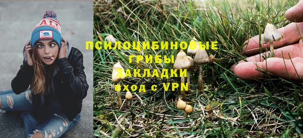 трава Армянск