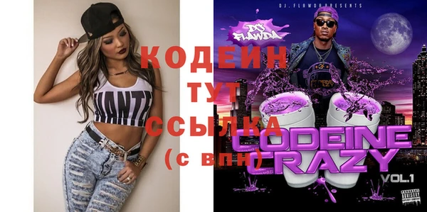 шишки Аркадак
