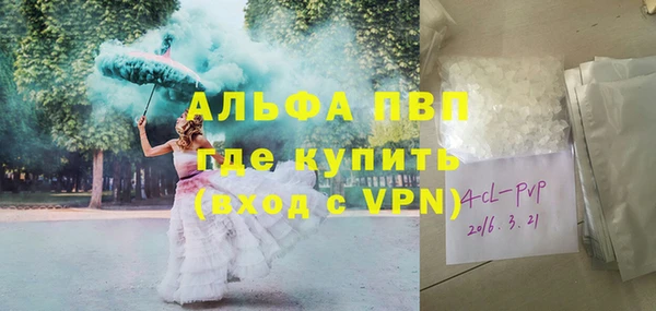 шишки Аркадак
