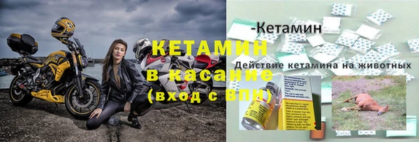 шишки Аркадак