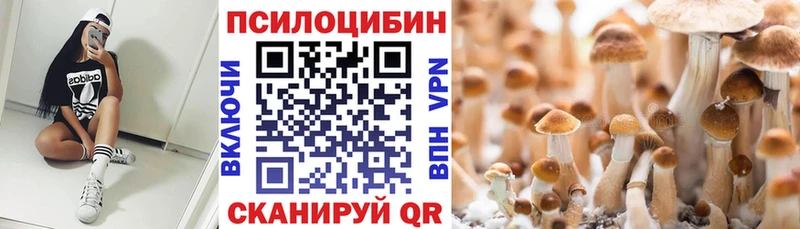 Псилоцибиновые грибы Psilocybine cubensis Белово